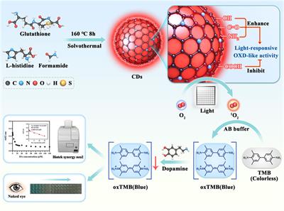 Carbon dots with light-responsive oxidase-like activity for colorimetric detection of dopamine and the catalytic mechanism